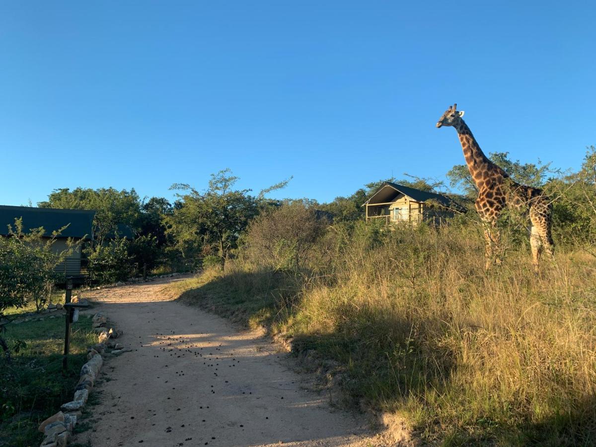 Ndhula Luxury Tented Lodge White River Esterno foto