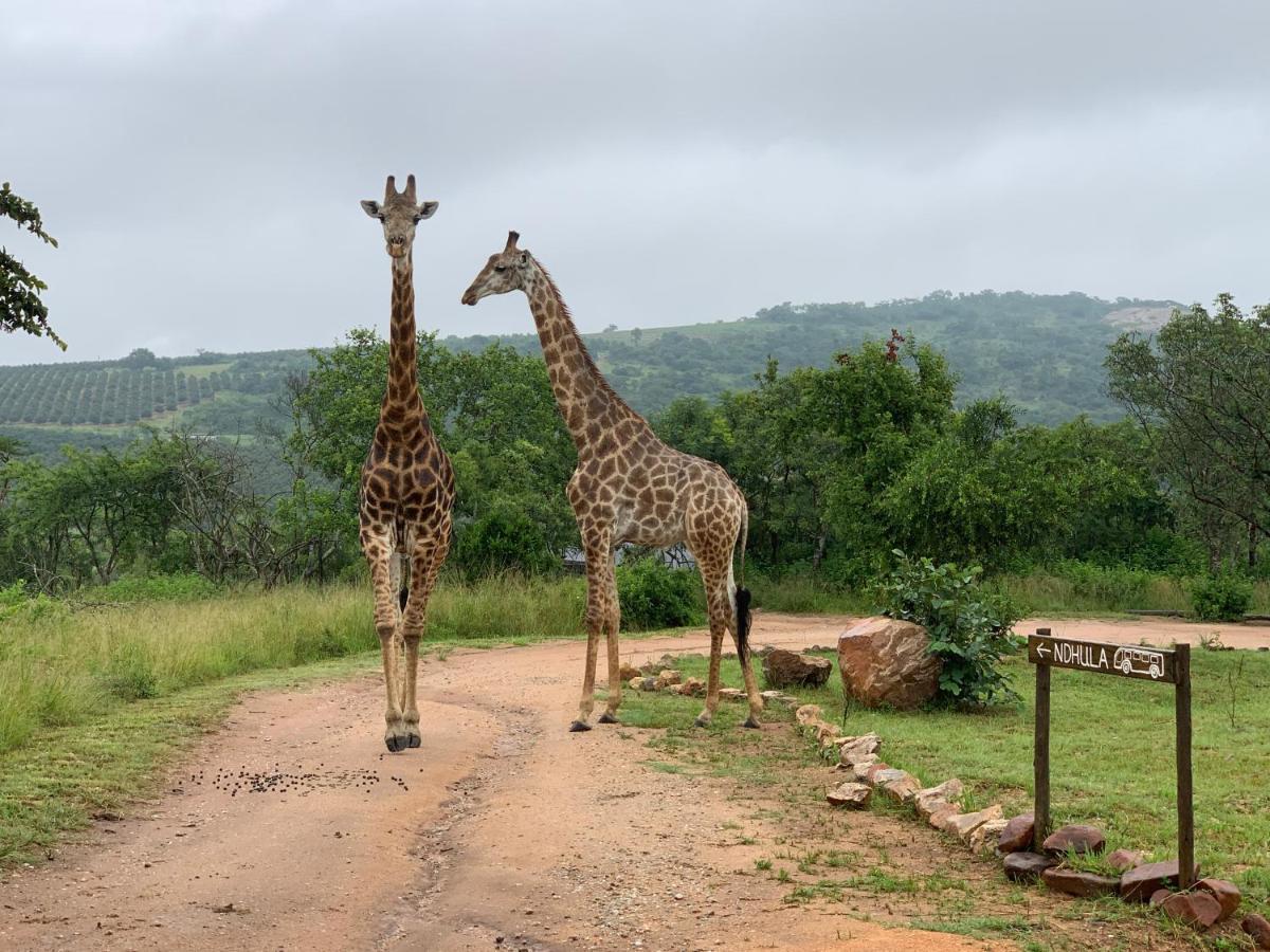 Ndhula Luxury Tented Lodge White River Esterno foto