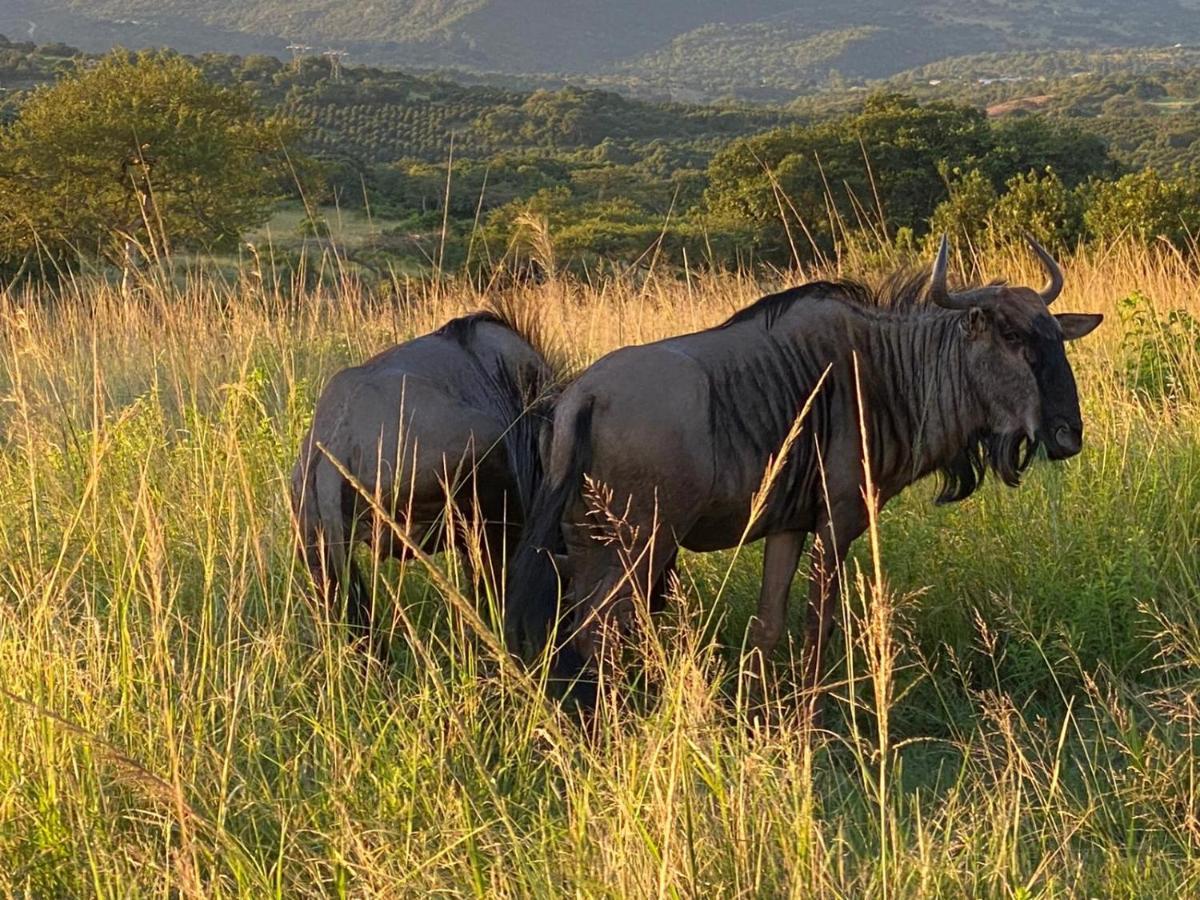 Ndhula Luxury Tented Lodge White River Esterno foto
