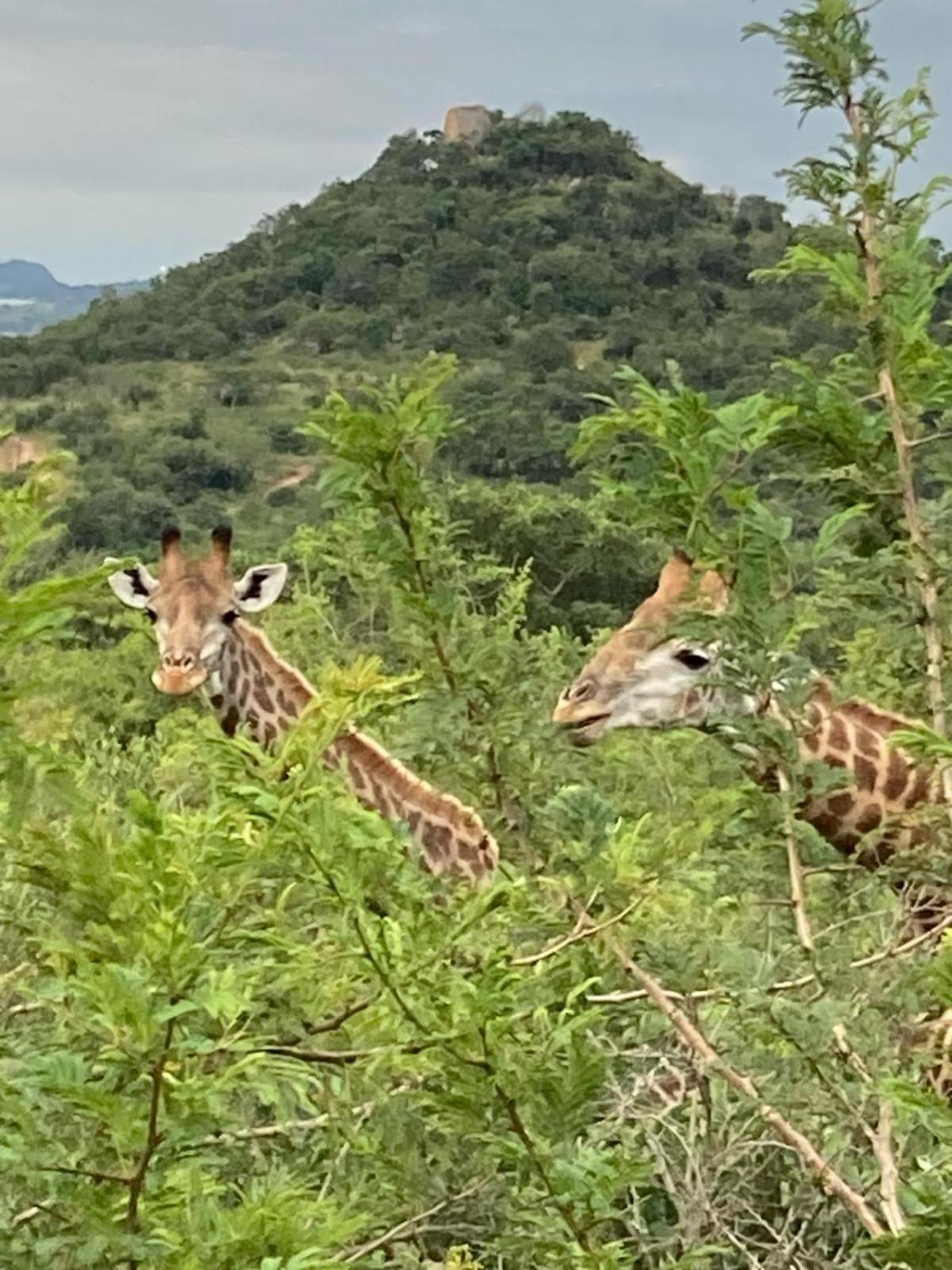 Ndhula Luxury Tented Lodge White River Esterno foto