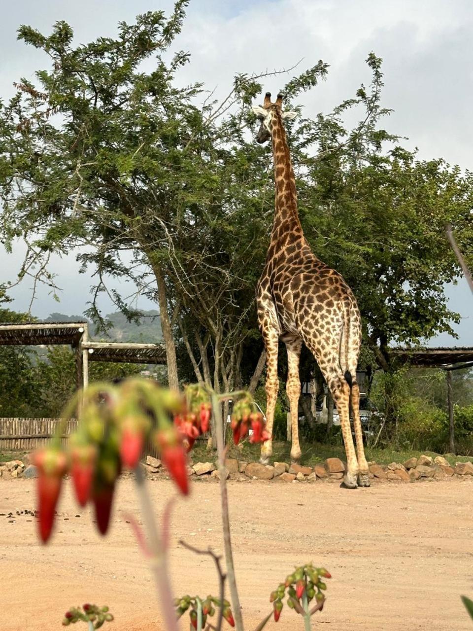 Ndhula Luxury Tented Lodge White River Esterno foto